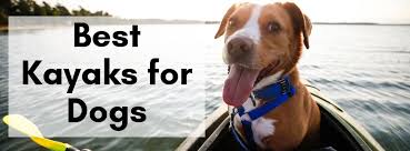 Find out what the best kayak for dogs really is. 2020 Best Kayaks For Dogs And Getting Them To Love It