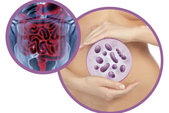 Maneras de recuperar la microbiota (flora) intestinal | FACE