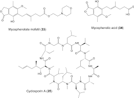 the amazing potential of fungi 50 ways we can exploit fungi