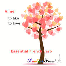 Aimer To Like To Love Lawless French Verb Je T Aime Bien In 2020 French Verbs Learn French French Expressions