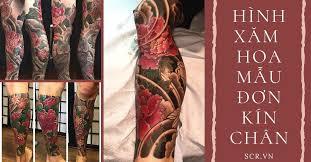 Hiện tại tôi có 5 hình xăm. Hinh XÄƒm Hoa Máº«u Ä'Æ¡n Kin Chan Tattoo Full Chan Ä'áº¹p