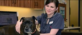At animal emergency hospital of mansfield, we are dedicated to providing high quality, compassionate care for you and your pets at any time of the day or night. Animal Emergency Pet Emergency Alberta Veterinary Care