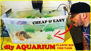 Homemade Aquarium Diy Plastic Bin Fish Tank Setup Homemade Aquarium Diy Fish Tank Fish Tank