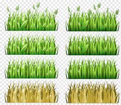 Maybe you would like to learn more about one of these? Drawing Of Family Vetiver Pasto Colombia Cereal Deportivo Pasto Wheatgrass Grain Food Vetiver Pasto Colombia Cereal Png Pngwing