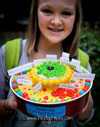 For more detail draw shoulder blades, sockets, and collar bones near the top of the ribs. Nina Carter Ninacartergn7 Edible Cell Edible Cell Project Cells Project