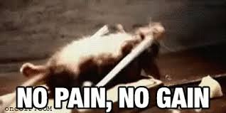Pin On Gif To Keep