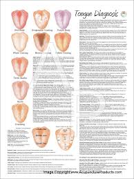 Chinese Tongue Diagnosis Poster 18 X 24 Tongue Health Acupuncture Herbal Medicine