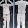 Their contribution to historical and archeology science have thrown experts off their rockers with confirmed. Https Encrypted Tbn0 Gstatic Com Images Q Tbn And9gcsbk4k Mvypzbiuybzsgfwo3 Jzf093pgigq9g0jiyijprpon2h Usqp Cau