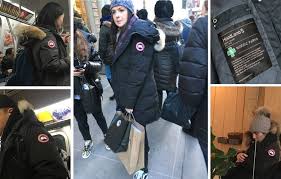 To be human is to be part of nature. Eine Schar Dummer Ganse In Canada Goose