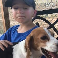 7-year-old Roman McConn has helped save more than 1,000 dogs — thanks, in  part, to some adorable videos of him playing with the pups., “I really want  them to be in a good home where they will be loved ...