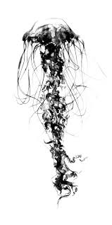 Ink Drawings Of Jelly Fish Set Of Three In A Dramatic Modern Black And White Style Prints And Mounted Canvas Avai Jellyfish Art Ink Drawing Jellyfish Tattoo