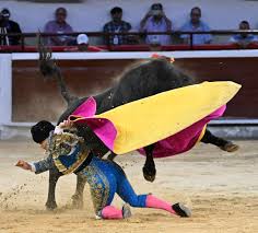 Lo Que No Se Vio en la Ciudad de Cali en la 1 de Feria | Voy a Los Toros