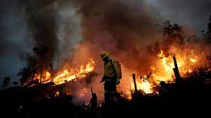 Sin coste para uso comercial sin necesidad de mencionar la fuente libre de derechos de autor. Bolsonaro Dice Que Incendios En La Amazonia Son Mentira A Pesar De Los Datos Estatales