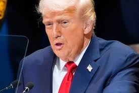 Some change to Louth GAA senior football panel but most of last season's  squad remain involved