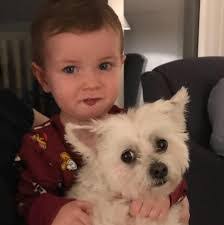 Sonya Wilkinson's Instagram, Twitter & Facebook