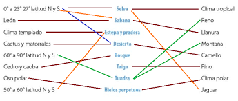 Y también este libro fue escrito por un escritor de. Leccion 1 Componentes Naturales De La Tierra Ayuda Para Tu Tarea De Geografia Cuaderno De Actividades Sep Primaria Sexto Respuestas Y Explicaciones