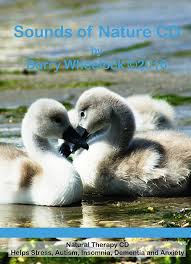 Amazon.com: Sounds of Nature: CD 和黑膠唱片