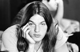 Sandy Muhammad (sandymhmmdns)