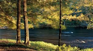 We did not find results for: Wild Rivers Legacy Forest The Nature Conservancy