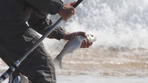 Il Existe Plusieurs Types D Appats Pour La Peche En Mer Et Il Est Parfois Complique De Savoir Comment Les Fixer Correctemen Appats De Peche Peche En Mer Peche