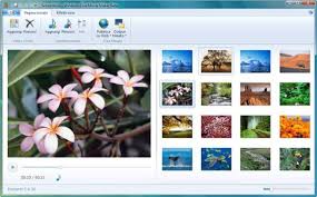 You can try out the free app version to work note: Features Of Windows Live Movie Maker Dvhardware