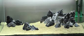 Seiryu Stones Information And Where To Buy Aquascape Aquascape Design Aquascape Aquarium