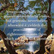 Hebrews 12:11 Now No Chastening For The Present Seemeth To Be Joyous, But  Grievous: Nevertheless Afterward It Yieldeth The … | Bible Apps, King James  Version, Bible