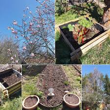 Strahlend Blauer Himmel Uber Leipzig Und Im Garten Werden Nach Und Nach Die Beete Bepflanzt Dank Der Notwendigen Kinderbetreuungszeit F In 2020 Plants Outdoor Decor