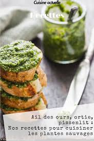 Ail Des Ours Ortie Pissenlit 20 Recettes Pour Cuisiner Les Plantes Sauvages En 2020 Recette Ortie Ail Des Ours Recette Ail Des Ours