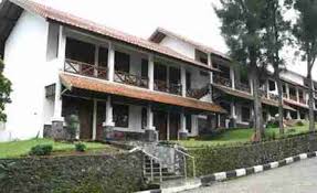 Suasananya yang adem serta sejuk mengingatkanmu pada ubud, bali. 5 Penginapan Murah Di Puncak Mulai 50 Ribu Untuk 2 Orang