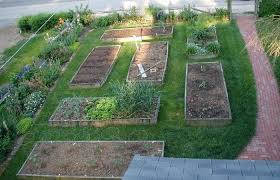 Garden Ideas Florida Gardening Superior Landscapes Jacksonville Fl Landscape Ghetto Rd Desig Vegetable Garden Design Backyard Vegetable Gardens Backyard Garden