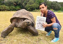 Introducing Jonathan The World S Oldest Animal On Land At 187 Years Old Guinness World Records
