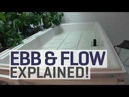 Ebb And Flow Hydroponics Explained Ebb And Flow Hydroponics Hydroponics Diy Hydroponics