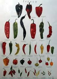 Mexican Chiles Chart Chart Of Chili Peppers In 2019