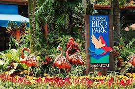 The jurong bird park is asia's largest bird park with over 400 species of birds which sum up to a total of about 5000 birds adding color and life to the area. Jurong Bird Park Singapore Tickets Show Times Activities Overseasattractions Com