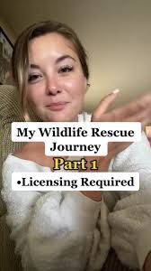 Wildlife Rescue and Sanctuary Mini Series: Fox and Wolf Edition