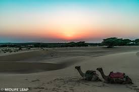 Usually when you wear tight clothes. India Rajasthan Jaisalmer And A Camel Safari To Remember