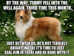 Lassie BY THE WAY, TIMMY FELL INTO THE WELL AGAIN. THIRD TIME THIS MONTH.  JUST BETWEEN US, HE'S NOT TERRIBLY BRIGHT. MAYBE IT'S TIME TO JUST SEAL HIM  IN THERE AND BE