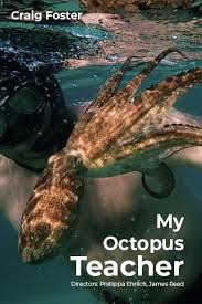 Full list of 2021 producers guild of america awards winners: My Octopus Teacher 2020 Imdb
