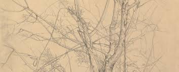 He is the best draughtsmen working today who captures an honest expression of his. Graphite The Metropolitan Museum Of Art