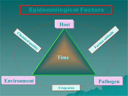 A wait and see approach to climate outbreak predictions that use seasonal climate forecasts can prepare public health systems months. Impact Of Climate Change On Plant Diseases And Ipm Strategies Intechopen
