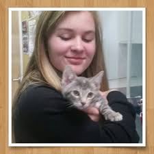 Kittens available for adoption in Utah