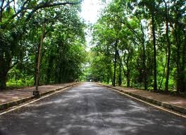 Sanjay Gandhi National park Mumbai ...