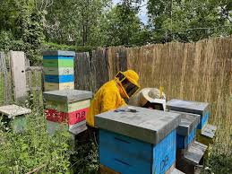 We did not find results for: Urban Honey Production In Rome Is Saving The Bees Here Magazine Away