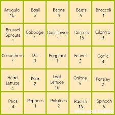 Square Foot Gardening Method Square Foot Gardening Raised Vegetable Gardens Organic Gardening Tips