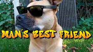 Dog Eat Dog