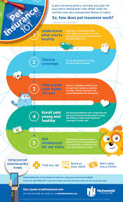 How do i evaluate insurance for my exotic pet? Pet Insurance 101 Infographic Pet Health Insurance Tips