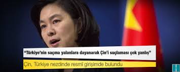 Ãin DÄ±ÅiÅleri SÃ¶zcÃ¼sÃ¼ resimleri ile ilgili gÃ¶rsel sonucu