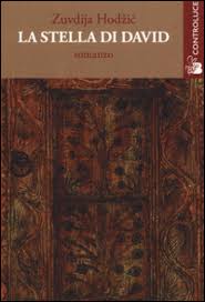 Image result for stella di david