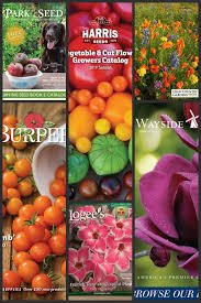 Folks reserve fruit trees for shipment in winter & early spring. 9 Great Garden Catalogs In 2019 Home Garden And Homestead